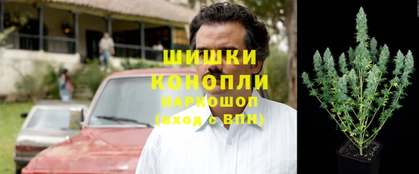 амф Верея
