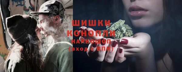 амф Верея