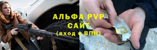 амф Верея