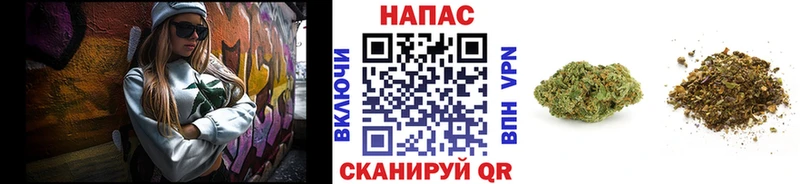 Шишки марихуана Amnesia  магазин продажи   Грозный 